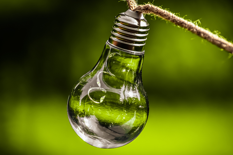 ePMO in Renewable Energy