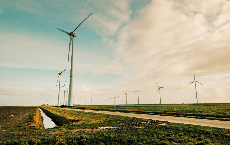 System Implementation for Renewable Energy Firms