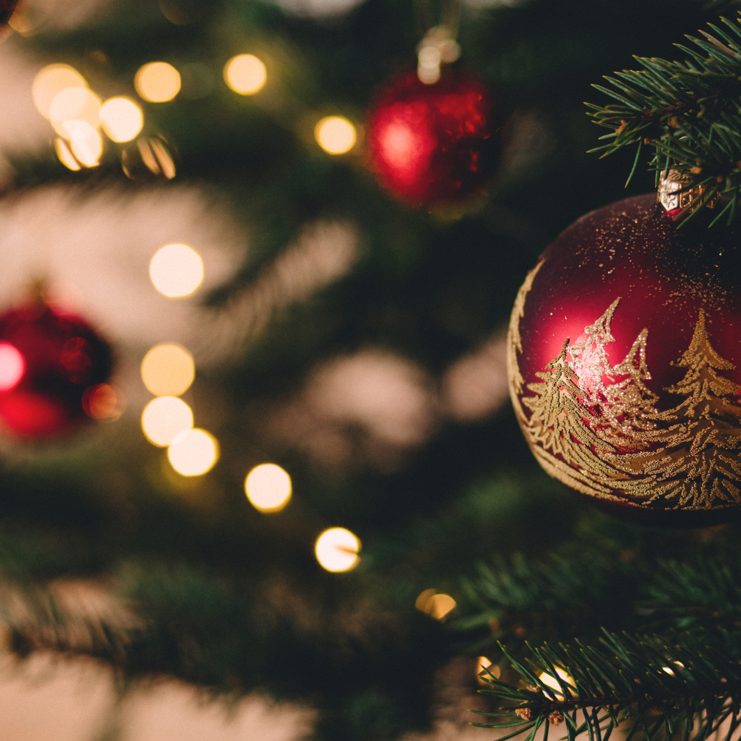 5P December 2025 Newsletter