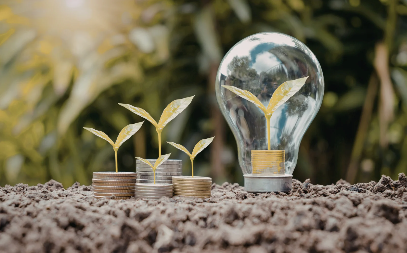 Financial Management for Energy Firms
