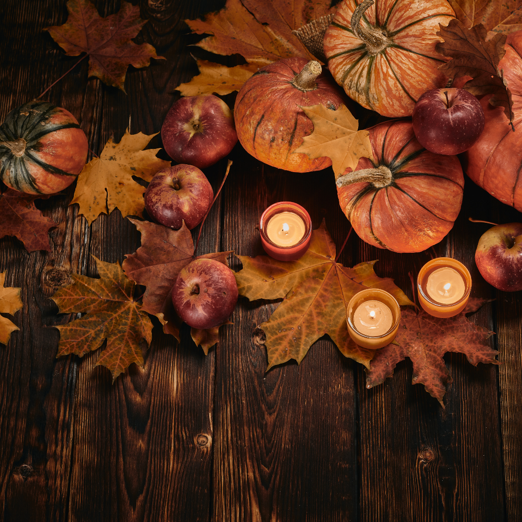 5P November 2025 Newsletter